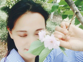 宝宝家会飞的小猪主播照片
