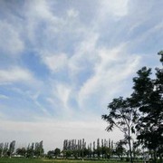 王维平x海报