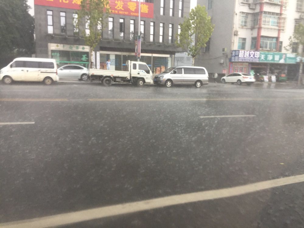 淡淡虎.的主播照片