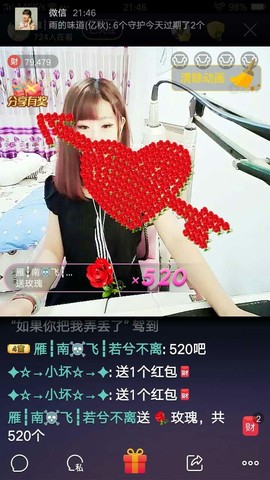 一只雁~主播照片