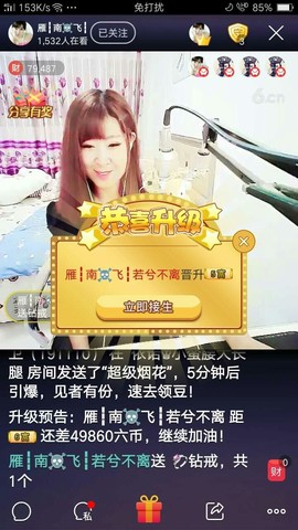 一只雁~主播照片