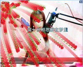 小鱼🐠大鱼主播照片