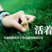 忆曾风影YANGYO