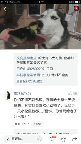 死丫头*主播照片