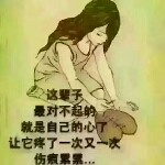 辰晨臣海报