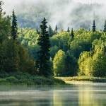 第五维空间的羽毛的头像