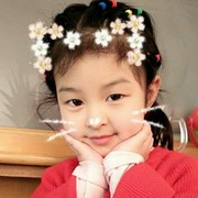 燕子飞j