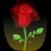 随风w5u7