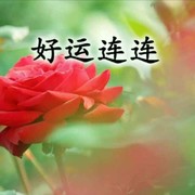好运连连pf!