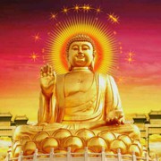 相遇8h