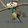 ☞梦飞扬☜