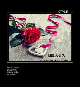 小妮子~主播照片