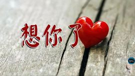 假如.。主播照片