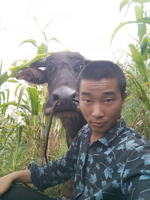 伍神龙保平安的主播照片