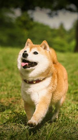 梦媛回归主播照片