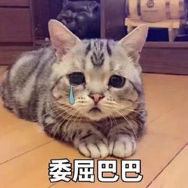 嘉baby❤️主播照片