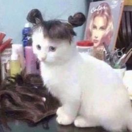 胖尘★つ主播照片