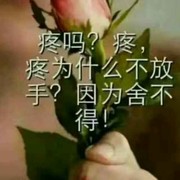 自由自在b8$