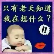 无情浪子s