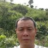上一样h