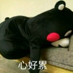 大眼哥。