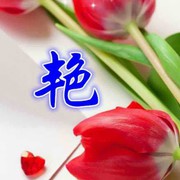 誓死不变的承诺的头像