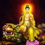 旺火5的头像
