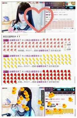 58426685主播照片