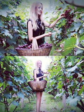 ♡九离♡主播照片