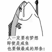 六六号技师
