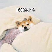 萌萌的哈吉