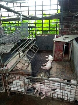 168888大叔主播照片