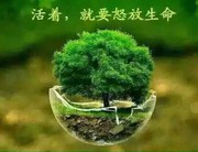 阿聪!的头像