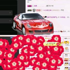 海鸽晚上播主播照片