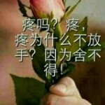 方俊哥