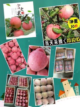 一秒钟の记忆主播照片