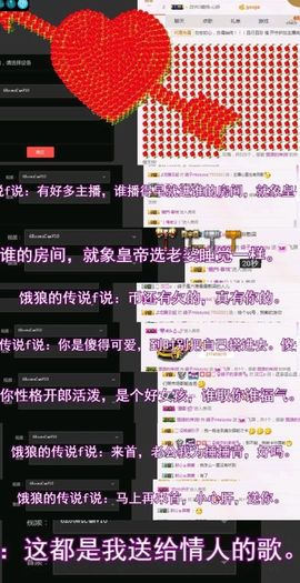 海鸽晚上播主播照片