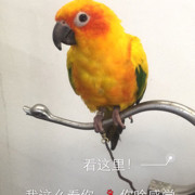 🎀沁雅堂🎀