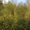 有时候95的头像