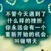 👀重新开始网络👀