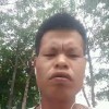 美丽天使的翅膀的头像