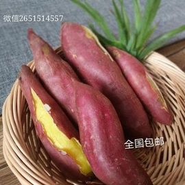 凉皮大哥主播照片