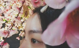 是你的小飞猪主播照片