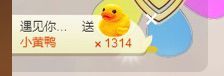 小妮子~主播照片