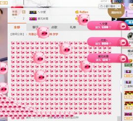 小艺停播主播照片
