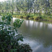 吴昌胜
