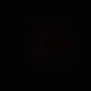 文哥哥，演员