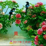 顺其自然💑👬💐海报
