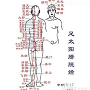 绿色针灸的头像