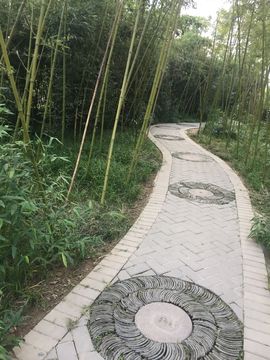 曾经叫豆豆主播照片